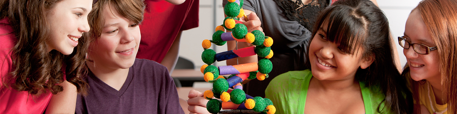 Four kids looking at a DNA chain model